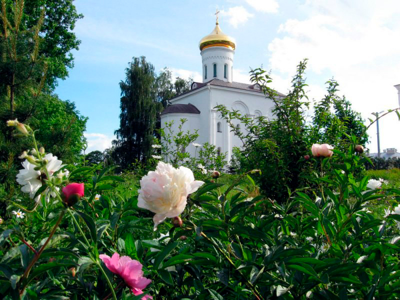 Воссозданная серебряная рака с мощами преп. Евфросинии. Фото 2007 года.